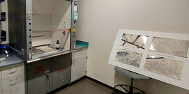 Forensic Division CSI Unit